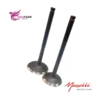 سوپاپ موتور زونتس 230 ان 2